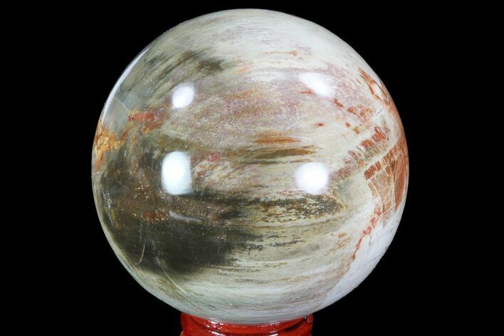 Colorful Petrified Wood Sphere - Madagascar #82740